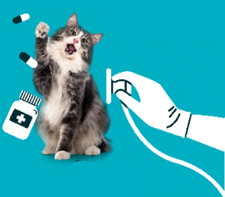 Hombre abrazando perro - personaje de Expopet