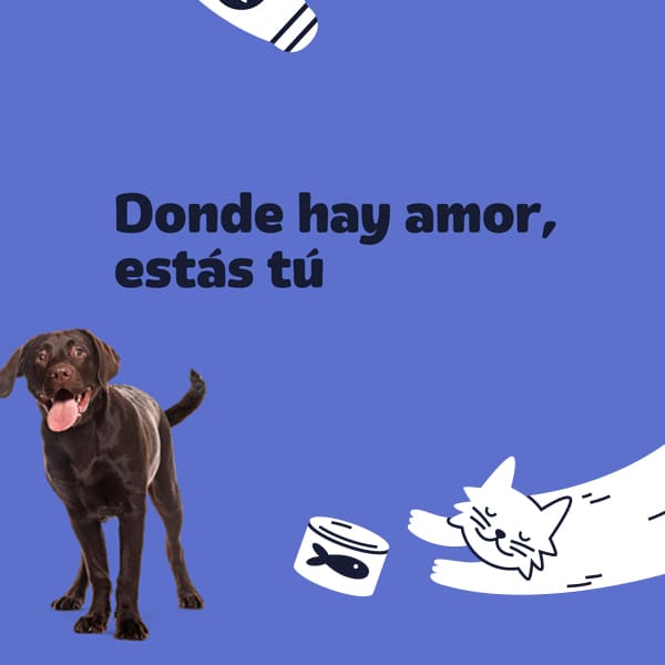 Spot campaña - Expopet