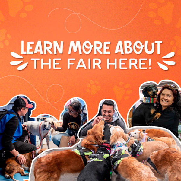 Spot gracias - Expopet